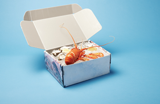 Lobster on ice in a Disruptive Packaging seafood box