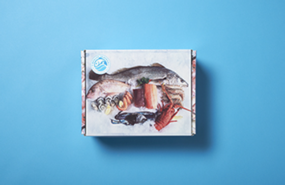 Closed Disruptive Packaging box with printed fish and shellfish artwork